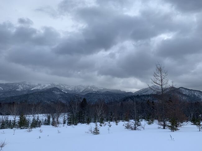 ※※この旅行記は2019年のものです。現在は運営状況が変わっているところがあります。<br />※今後冬の北海道旅行される方の参考になれば…<br /><br />2019年1月末、3年振りに知床に流氷を見に行きました。<br />流氷は2月～3月上旬の方が見られる確率は高いと思いますが、オンシーズンを避ける為に早めの日程にしました。<br />知床の後は屈斜路湖・摩周湖を経て釧路へ。