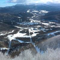 ●冬リゾート●トマムでスキーとちょっとだけ小樽観光☆彡