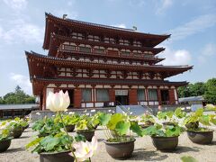 １人で歩く養天満宮・薬師寺・唐招提寺ロータスロード第３弾～カフェバルで美味しいパンケーキも(*^^)v