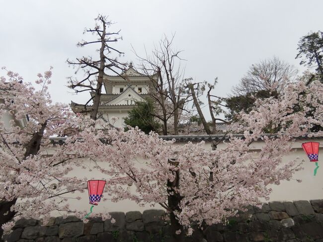 2021年3月30日(火)3時半過ぎ、大垣公園の一角にある大垣城へ。麋城(びじょう)や巨鹿城(きょろくじょう)とも呼ばれる。諸説あるが、元々は美濃守護・土岐一族の宮川吉左衛門尉安定により、1535年に創建されたと伝えられる。当時は牛屋城と呼ばれ、牛屋川を外堀の代わりに利用し、本丸と二ノ丸のみであったと云う。<br /><br />その後、織田信長が5年間城主を務めたり、清洲会議に出席した4人の織田家重臣の一人の池田恒興も城主となった。関ケ原の戦いでは、西軍・石田三成の本拠地となったが、現在の城の元となったのは1649年の戸田氏鉄の築城によるもの。戸田氏はその後明治に至るまで城主を務めた。<br /><br />明治維新後の1873年(明治6年)廃城となったが、天守など一部の建物は破却を免れ、1936年(昭和11年)に天守等が国宝に指定された。しかし1945年7月の大垣空襲により天守や艮櫓などが焼失した。<br /><br />現在の鉄筋コンクリート構造4層4階の天守は1959年に郡上八幡城を参考に外観復元されたもの。2011年に完了した屋根瓦の葺き替えと外壁改修工事により焼失前の大垣城の外観に近くなるように改修された。2017年に続日本100名城に選定されている。<br /><br />城の南側に建つ金森吉次郎の像の横、鉄門跡から本丸跡に入る。本丸は元々は堀に囲まれており、鉄門は廊下橋で堀を渡ったところにあった。本丸の中にはさらに一段高い天守台があり、天守台はさらに内部の壁と門で囲まれていた。階段を登ったところが、その内壁にあった七間多門の跡(下の写真1)。<br /><br />その北側に建つ復元天守閣へ入場料200円を払って入城(下の写真2)。内部は4層4階となっており、1階は関ケ原合戦と大垣城、2階は武士と庶民の文化や生活に関する展示があり、3階が休息室、4階が展望室となっている。江戸時代の城の鳥観図で、当時の様子がよく分かる。<br /><br />展望室からは北にJR大垣駅から遥か曽根城跡、東遥かに岐阜城、南には養老山地、西はすぐ下の城西広場の先に関ケ原から伊吹山が望める。<br /><br />天守閣から東側に降りた先にあるのが東門だが、もともとのあったものではなく天守の復興にともなう整備の際に、旧柳口門を移築したもの。大垣城には柳口門の他、大手門、南口門、竹橋口門、清水口門、辰之口門、小橋口門と7つの門があり、七口之門と呼ばれていた。現在はいずれの門も当時の場所にはない。この東門の辺りには本丸の鉄砲多門があった。<br /><br />東門の北側の角に建つのが艮(うしとら)隅櫓。本丸を取り囲んだ腰曲輪の櫓で、本丸と共に旧国宝になったが戦災で焼失し、1959年に鉄筋コンクリート構造で再建された。反対側、東門の南側を少し入ったところに建つのが武徳殿(下の写真3)。元々大日本武徳会の武道館だったが、現在は資料保管庫となっている。<br /><br />大日本武徳会は1895年(明治28年)に設立され、戦前の日本において、武道の振興、教育、顕彰を目的として活動していた財団法人で、京都の岡崎にある本部道場が、かつて大内裏にあった武徳殿と同じに名を付けられ、全国各地の支部道場も本部に倣って武徳殿と呼ばれていた。<br /><br />反対側の北西角、水之手門跡の横にあるのが乾隅櫓で、野面積の石垣は石灰岩で作られている。1966年に鉄筋コンクリート構造で再建され、2010年に外観復元されたもの。その前にある松はおあむの松と呼ばれている。<br /><br />関ヶ原の戦いの折り、石田三成の家臣の山田去暦は娘のおあむらとこの大垣城に籠城していたが、以前家康の手習いの師匠だったことから逃すとの矢文が東軍から届き、家族4人で天守の西側にあった腰曲輪の松の木に縄をかけ、それを伝って内堀に降り、たらいに乗って逃げたとのこと。現在残る松は植え継がれた二代目の松。<br /><br />その他、本丸内には戊辰の役顕彰碑や菱田重禧詩碑、大垣博記念碑も建つ。戊辰の役顕彰碑は戊辰戦争に従軍した大垣藩兵を顕彰するもので、大垣藩は戊辰戦争に1400余名の藩兵を派遣し、55名の戦死者を出している(下の写真4)。<br /><br />菱田重禧は大垣藩士で、鳥羽伏見の戦いの際に、長州藩兵に捕まり、殺されそうになるが、時世として詠んだ七言絶句の詩に感銘を受けた長州藩士石部誠中によって許された。刻まれているのはその時の詩で通称「屠腹の詩」で「苦学して君父の恩に報いようと思い、一灯の許に学んだ三十余年は空しく、落ち着いて死んでいこうとする今夜。只、残念なのは真心が未だ天子に徹っていない事」と云う意味(下の写真5)。<br /><br />大垣博記念碑は2000年の「決戦関ケ原大垣博」の開催を記念したもの(下の写真6)。<br /><br />天守閣石垣西北角には明治二十九年の大洪水点の碑が建つ。1896年に岐阜県の西濃地方(岐阜県の木曽川西岸地域)は7月と9月の二度にわたり輪中堤防破堤の水害に襲われ、ほぼ全域が浸水し、死者207人、流失家屋4657戸、破壊家屋9441戸、堤防の決壊3286箇所という悲惨な被害を起こした。9月の豪雨では7月の洪水を1.1m上回り、深いところで地面から4.2mの高さまで浸水し、岐阜・大垣間を舟で往来できたそうだ。その高さの線がこの碑の後ろの石垣に刻まれている(下の写真7)。<br /><br />西門を抜けて城西広場へ抜ける。この門は1985年に行われた修景整備の際に造られた模擬門で、元々あった門ではない。<br />https://www.facebook.com/media/set/?set=a.7023094034427227&amp;type=1&amp;l=223fe1adec<br /><br /><br />もう少し大垣公園を回るが、続く。