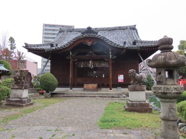 岐阜 大垣 常葉神社(Tokiwa-jinja Shrine, Ogaki, Gifu, Japan)