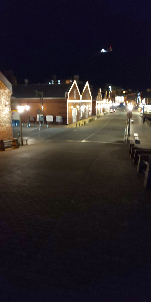 2021年春の函館パート9のつづきです。夕食を食べて、夜の散歩を少ししました。<br /><br />翌日は楽しみにしていたラビスタ函館ベイの朝食です。<br /><br />翌日は電動自転車をレンタルしました。