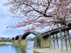 2021 APR はじめて行った桜の季節の錦帯橋と岩国城【日本100名城No.74】