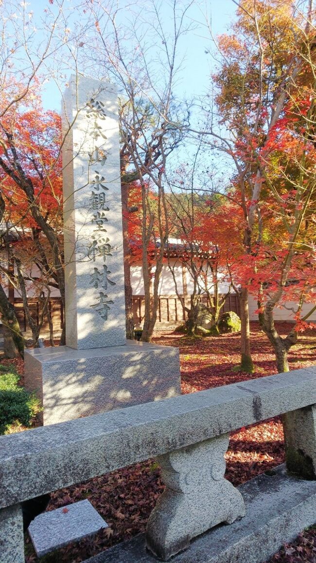 2020年12月に京都を訪れた旅行記の続きです。<br />1年経過してしましたが、2021年11月に再訪した旅行記もあるので、その前に記したいと思います。<br />古い情報になってしまいましたが、ご覧いただければ幸いです。<br /><br />旅の2日目は、朝一番に東福寺に参拝した後、昼食に「南禅寺 順正」で湯豆腐を食べた後、南禅寺と永観堂に参拝しました。<br /><br />今回は、紅葉の季節としては遅い12月に入ってからの京都の旅でしたが、美しい紅葉を見ることが出来てとても良かったです。