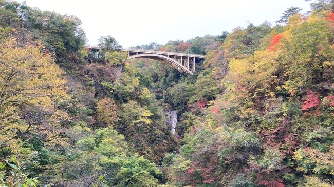 ２０２１年１０月２５日　曇り<br />　今日の移動距離は東鳴子温泉まで４０ｋｍ足らず、もっぱら鳴子温泉郷の湯巡りを楽しむ。「烏の行水」を繰り返し目標は１０湯制覇！<br />　最初の中山平温泉では「しんとろの湯」「蛇の湯 湯吉」「名湯秘湯 うなぎ湯の宿 旬樹庵 琢ひで」を攻め、泉質の異なる５つの湯に入った。ここの温泉の特徴は「ヌルヌル、トロトロ」の肌触り。源泉により程度の差はあってもこの感覚は共通しており初めての体験だった。何の成分の効果だろう。<br />　「鳴子峡」は紅葉の真っ盛り。急峻な斜面に紅葉・黄葉の錦の木々と大岩が織りなす風景はカラーの水墨画のようだった。「尿前の関跡」には芭蕉像と有名な歌碑があり、奥の細道の一節を思い出した。<br /><br />　　<br />【旅程】<br />　10/21　神戸空港→花街空港→大沢温泉・湯治屋（泊）<br />　10/22　大沢温泉・湯治屋→山の駅「昭和の学校」→鉛温泉藤三旅館（立寄り湯）→夏油温泉・湯元夏油（泊）<br />　10/23　夏油温泉・湯元夏油→猊鼻渓→平泉（中尊寺、毛越寺、達谷窟毘沙門堂、厳美渓）→温湯温泉・佐藤旅館（泊）<br />　10/24　温湯温泉・佐藤旅館→大湯温泉・安部旅館（立寄り湯）→小安峡→泥湯温泉（湯巡り）→河原毛地獄→瀬見温泉・喜至楼（泊）<br />★10/25　瀬見温泉→中山平温泉（湯巡り）→鳴子峡、尿前の関→東鳴子温泉（湯巡り）→東鳴子温泉・高友旅館（泊）<br />　10/26　東鳴子温泉・高友旅館→重伝建「金ヶ崎町城内諏訪小路」→花巻空港→伊丹空港