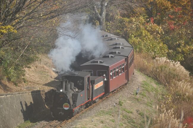 愛知こどもの国に、こども汽車という<br />本物の蒸気機関車が走っています。<br />機関車は、B11「まつかぜ」（運休中）と<br />B12（しおかぜ）の2両で、<br />線路幅は762mmのナローゲージの、<br />いわゆる軽便鉄道です。<br />全長1,135mを約7分で走ります。<br />最大勾配は30‰（1000mで30ｍ上がる）の<br />急坂があり、単線の本格的な線路であります。<br /><br />この日、復活したＴさん（笑）と、久しぶりに<br />18切符を使っての、飲み鉄に行って来ました。<br />新快速、特別快速に乗り、JR蒲郡駅へ。<br />ここで名鉄蒲郡線に乗り換えて、<br />こどもの国駅で下車。<br />ここから、こども汽車駅まで、<br />徒歩で数10分かかります。<br /><br />今回は、ふらっと撮影に行きましたが、<br />蒸気機関車（SL）撮影会という<br />有料の撮影会を受け付けており、<br />撮影時間帯等をアレンジして、<br />沿線で撮影することができます。<br />機会がありましたら、有料撮影で沿線内で<br />撮影したいと思っています。<br /><br /><br />