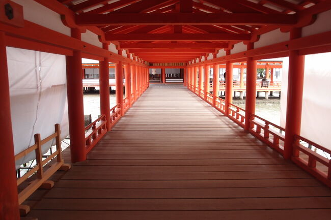会社の休みを利用して、広島へ3日間旅行して来ました。<br />コロナの感染が増加傾向の中ですが、予防対策を念入りにして行きました。<br />2日目は、宮島日帰り観光になります。<br /><br /><宿泊先><br />ダイワロイネットホテル広島駅前<br /><br /><目的><br />①宮島観光<br />②もみじ饅頭<br />③広島電鉄<br />④御朱印集め<br />⑤あなご飯<br />⑥鹿と遊ぶ<br />⑦お土産選び<br /><br />日帰りなので、目的達成出来るようにしました。<br />いつも何か最後にはトラブルが発生するが、今回は無い事を期待します。