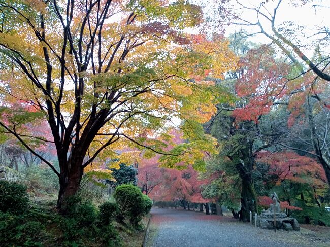 関西２０２１秋旅行記　【１４】三井寺