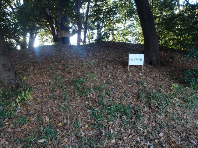 多摩川台公園はアジサイ園、野草園、水生植物園、展望台からの多摩川の眺め<br />等で大田区民に憩いの場を提供しています。<br />この公園内には亀甲山古墳と宝萊山古墳と多摩川台古墳群（８基）と計10基の古墳が並んでいるのです。<br />