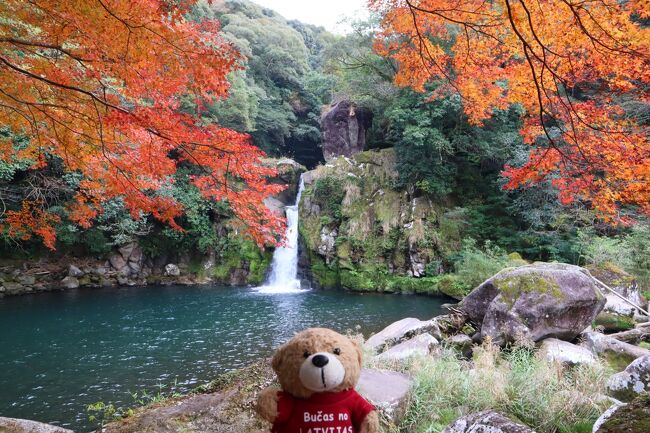 前回の旅行記でも北薩の紅葉狩りをUPしましたが…。<br />今回もシフトの都合で平日休みになりましたので、再度訪問してみることにしました。<br /><br /><br />前回の紅葉狩りの旅行記はコチラ<br />Latvijas Lācisの大冒険♪ 北薩でプレ紅葉狩りを満喫<br />https://4travel.jp/travelogue/11723456<br /><br /><br />今回の旅行記はコチラ<br />Latvijas Lācisの大冒険♪ 北薩で本当の紅葉狩り+宮之城線跡(伊佐～さつま)を巡って…(伊佐市)<br />https://4travel.jp/travelogue/11734407/<br /><br />Latvijas Lācisの大冒険♪ 北薩で本当の紅葉狩り+宮之城線跡(伊佐～さつま)を巡って…(さつま町)<br />https://4travel.jp/travelogue/11734421/<br /><br />Latvijas Lācisの大冒険♪ 北薩で本当の紅葉狩り+宮之城線跡(伊佐～さつま)を巡って…(藺牟田池とオマケ)<br />https://4travel.jp/travelogue/11734438/