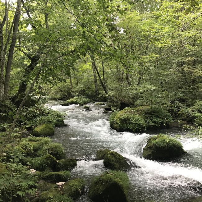 夏も終わりに近い９月初旬、青森に旅にいってきました。メインは奥入瀬。このような環境ですので自然豊かなところに出かけたくなったので行ってきました。