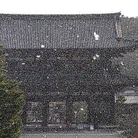 京の冬の旅①～文化財特別公開を楽しむ女旅～