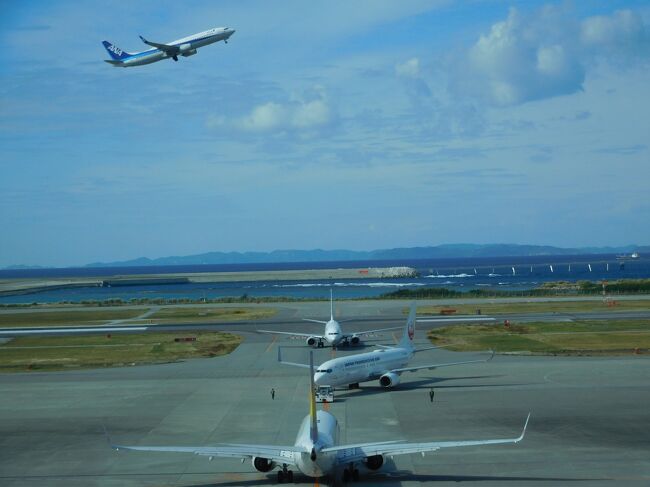 「どこかにマイルで沖縄へ」2日目<br />表紙の写真は、那覇空港の展望スペースで撮った1枚です。ちょうど3機が並んでいる所に、飛び立つ飛行機の姿も写す事が出来ました。<br />あっという間の1泊2日の旅でしたが、2日目も朝一番で水族館に行く事が出来、そのまま空港に行き、のんびり待っている間にこんな光景も見れて良かったです。