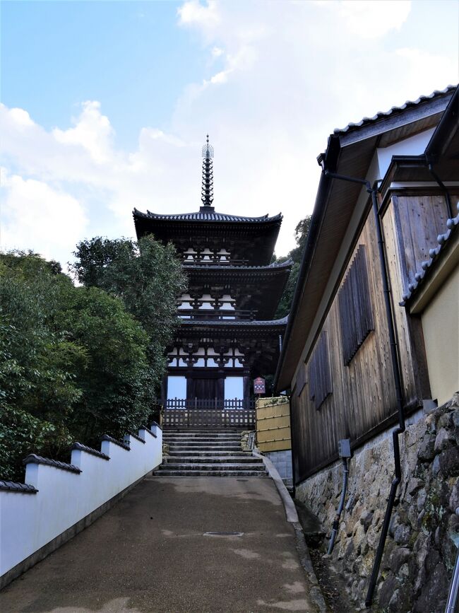 2021.12コロナ禍年末の奈良旅行3-道の駅かつらぎの瓦そばと揚げねり天で昼食，當麻寺，當麻寺中之坊，石光寺