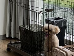 愛犬ROOM　ラグーナベイコート倶楽部　宿泊