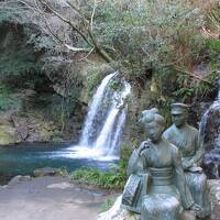 早春の天城（浄蓮の滝）