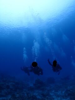 年末年始に沖縄中部を巡る旅2-慶良間で海洋実習-