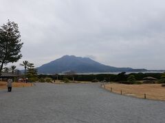 冬の鹿児島・桜島2日間【1日目前編】JAL塔乗、カゴシマシティービューで城山展望所・仙巌園へ