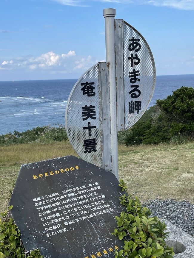 最近世界遺産に登録された奄美大島へ3泊4日で行ってきました。私の1番の目的はアマミノクロウサギを観ることです。さてさて無事にクロウサギは観れたのでしょうか?