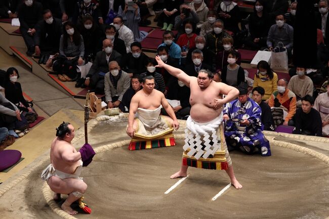 久しぶりに、大相撲を見てきました、一月場所十二日目です。