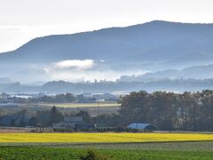 留辺蘂の美しい農村景観＆塩別つるつる温泉2021～黄色い絨毯のキカラシロード～（北海道）