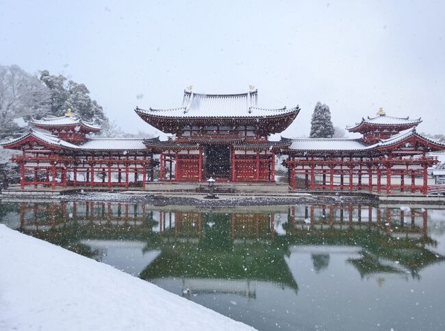 5年ぶりに15センチの積雪がありました。<br />北大路通を境に気温が数度違い、朝　雪が積もっていても北大路通より南は　すぐに雪が解けてしまいます。<br /><br />この日は朝6時を過ぎても大粒の雪が降っていたので、京都市よりも南の宇治市でも雪景色を見る事が出来ると思い、宇治へ向かいました。