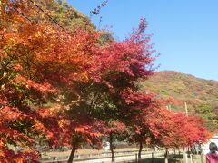 2021秋 群馬２：碓氷関所跡、紅葉のアプトの道、碓氷湖、峠の釜飯のおぎのや、妙義山の眺め