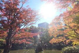 晩秋のラグジュアリー東京旅♪　Vol.30 ☆美しい紅葉の日比谷公園♪