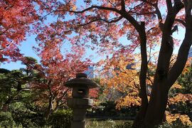 晩秋のラグジュアリー東京旅♪　Vol.31 ☆美しい紅葉の日比谷公園♪