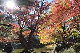 晩秋のラグジュアリー東京旅♪　Vol.33 ☆美しい紅葉の日比谷公園♪