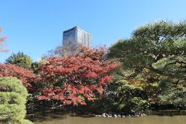 晩秋のラグジュアリー東京旅♪　Vol.34 ☆美しい紅葉の日比谷公園♪