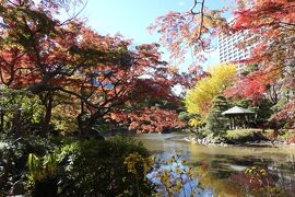 晩秋のラグジュアリー東京旅♪　Vol.35 ☆美しい紅葉の日比谷公園♪