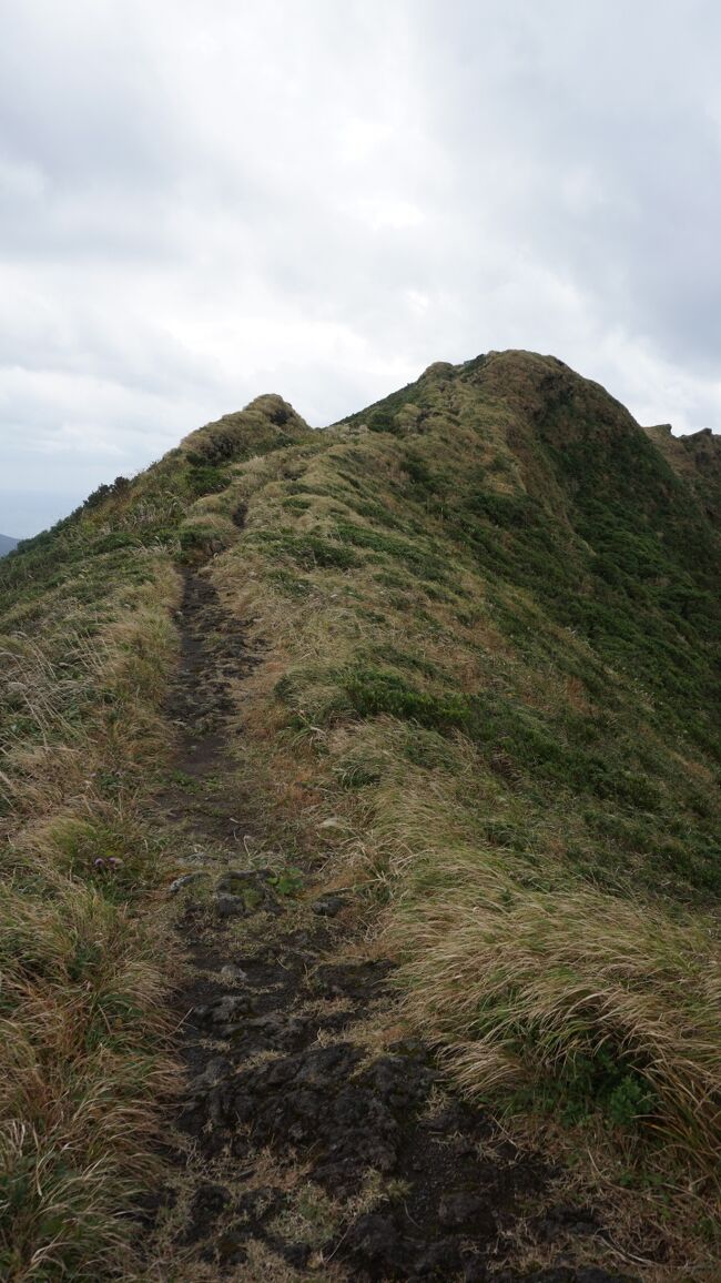 八丈島の旅行もあと1日半を残すのみになった。三原山には登れなかったので八丈富士には何としても登りたかった。天気が良かったので八丈富士に登り、残されたスポットを巡った。<br />11月10日(火)八丈ビューホテルから自動車で八丈富士登山口に向かう。駐車場で自動車を停めて階段になっている登山道を登る。お鉢巡りの分岐点に到着して、お鉢巡りコースを歩く。途中に頂上や八丈小島を見ながら、強風に抗して八丈富士の火口を恐る恐るのぞき込んで何とか一周した。下山してふれあい牧場でのんびり休憩。八丈一周道路に出て大越鼻灯台を見学。市街地に行って八丈カレーヒロで昼食。近くの護神山公園に行って、島酒之碑、天照皇大神宮を見学。東京都八丈支庁にある八丈島歴史民俗資料館を見学。宇喜多秀家の墓、旧八丈支庁庁舎、石製くりぬく水槽、八丈植物公園を巡る。前から行きたかった八丈島郷土料理の梁山泊で夕食。<br /> 11日(水)ホテルをチェックアウトして、八丈島西山卜神居記碑、近藤富蔵の墓を見学した後、レンタカーを返却して八丈島空港に送ってもらう。全日空で羽田空港を経由して伊丹空港へ。楽しかった旅も終わった。