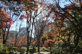 晩秋のラグジュアリー東京旅♪　Vol.39 ☆美しい紅葉の日比谷公園♪