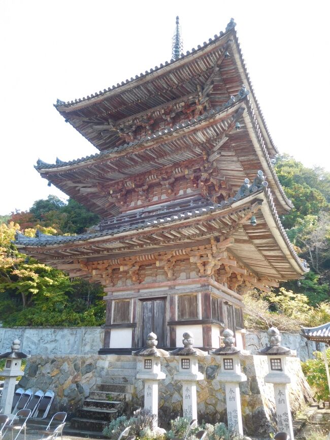 高取城への登城を終え、壺阪山観光を行います。<br />その後は橿原神宮を観光しました。