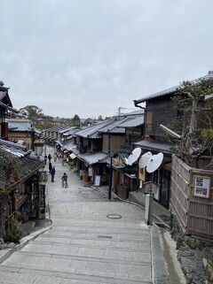 冬の寒い日 静かな京都散策 東山 祇園 北白川 京都 の旅行記 ブログ By ハーブさん フォートラベル
