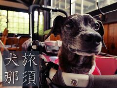 犬旅　～那須・2021夏～