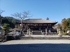 母・弟と行くお正月明けの當麻寺～珍しい妙憧菩薩さまにも、お会いできました(*ﾉωﾉ)