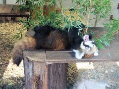 作成中　日本平動物園