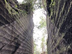 鋸山（のこぎりやま）に登ってきた。