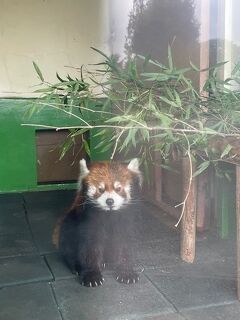 レサパ求めて東武動物公園に行ってきた