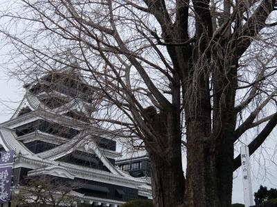 もういつ申し込んだのかも忘れましたが<br />「緊急事態」と「まん防」が解除された時に<br />ANAさん主催の<br />「ONSEN・ガストロノミーウォーキングin日奈久温泉」<br />これに参加する予定でした<br />ところが熊本も「まん防」決定<br />嫌な予感は的中の開催中止(;O;)<br />めっちゃ楽しみにして<br />ウォーキングシューズも新調したのに(._.)<br /><br />新幹線も宿もすでにキャンセル料が発生するし<br />久しく熊本行ってないよね<br />と言う事で熊本行きは決行いたしました(^^)/<br />初日は行った事の無い熊本城メインで動いて<br />翌日温泉に入って熊本グルメで〆ました<br /><br />いつもなら2部に分ける写真の量なのですが<br />なぜか1本で済ませてしまいました<br />ちょっと長い旅行記になりますが<br />見て頂けますと励みになります m(_ _)m