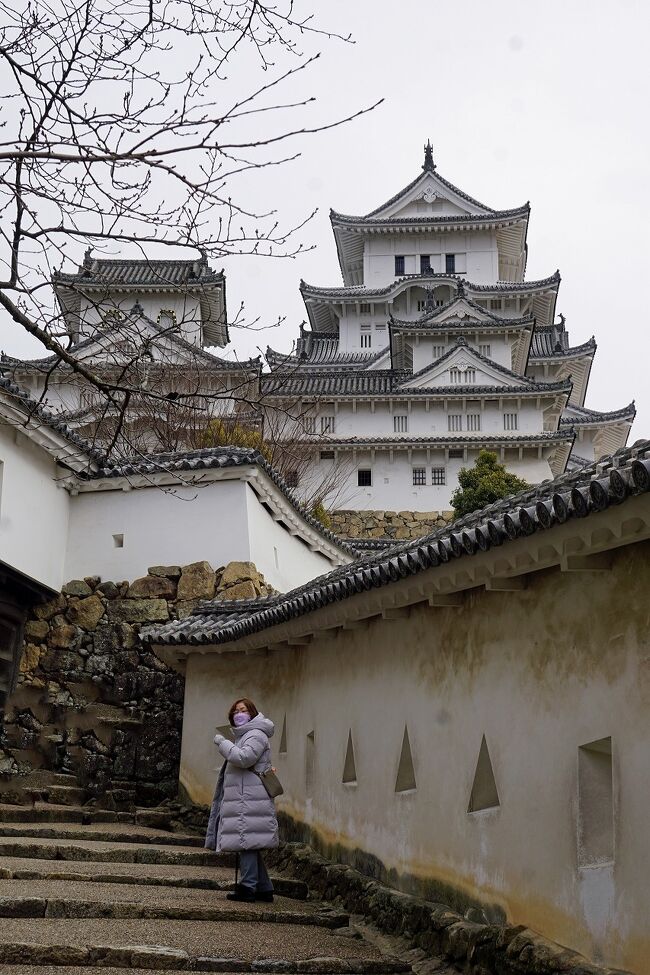2023年の旅の始まりは1月21日から2泊3日でトラピックスのツアーに参加することになりました。自分で計画した旅の予定もいくつかありますが、個人で手配すると緊急事態宣言等の発令でキャンセルするときに面倒なので、ネットで簡単に手続きできるツアーに心が動いてしまいます。今回のツアーは「タグ付き松葉ガニフルコース・神戸牛を食し、西日本の壮観な風景を巡る!眼福口福の旅3日間」です。費用がお手軽だったのと姫路や天橋立、出石や出雲大社など行ったことが無いところが多かったのが選んだ理由でした。当日羽田空港で手続きをするとバスは1台で参加者は26名ということです。まずは岡山空港まで移動になりますが、座席は3列並びのシートのAとBで、岡山行きの便は比較的空いていたので通路側のシートは空いたままです。次に気になったのは富士山がどちらに見えるかで、CAさんに尋ねると左側の窓から見えるということで、機内から富士山が見えると何となく得した気分になります。離陸した機体の窓からは房総半島越しに太平洋が見え、東京湾から三浦半島、江の島が見えた後は伊豆大島がきれいなシルエットになって見えました。富士山を北側から山頂を見下ろして、来月末に行く予定の清水港と久能山と日本平を見送ると御前崎と浜名湖も見えます。名古屋港の上空からは伊勢湾岸自動車道の東海インターチェンジと飛島インターチェンジの間に架かる3つの橋名港トリトンの「名港東大橋」「名港中央大橋」「名港西大橋」がきれいに見え、フェリーターミナルに停泊する太平洋フェリーの船舶まで見えました。その後は雲に覆われてしまいましたが、岡山空港に到着しました。空港で現地の添乗員さんと合流して、バスに荷物を預けた後は1時間の自由昼食になります。事前に調べてあったターミナルの2階のレストランで岡山名物のデミかつ丼と蒜山焼きそばを食べることが出来ました。1日目のスケジュールは姫路で姫路城を見学することになりますが、広大な城内の係員と我々ツアーの26人とそれ以外に10人くらいの人しかいなかったのではないでしょうか。妻の歩きに合わせてゆっくり進んでいたら周りには誰もいなくなってしまい、何とも寂しい姫路城の見学になりました。これほど広大で人のいない場所の見学はフランスのモン・サン・ミッシェル以来です。過去に思いを馳せるには人が少ないのは良いですが、少なすぎるのもちょっと怖い気がしました。