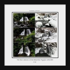 ◆羽鳥湖高原～花咲く明神滝vs氷雪の明神滝