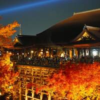 紅葉の京都へ2021〈４〉紅葉の清水寺は昼も夜も美しい！スイーツにテイクアウトグルメも♪