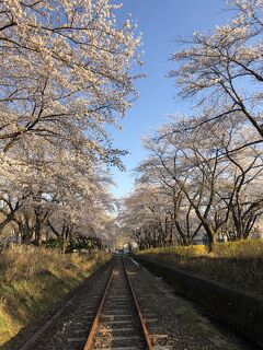 2019 春の秋田&青森、桜と鉄道と温泉の旅 2 