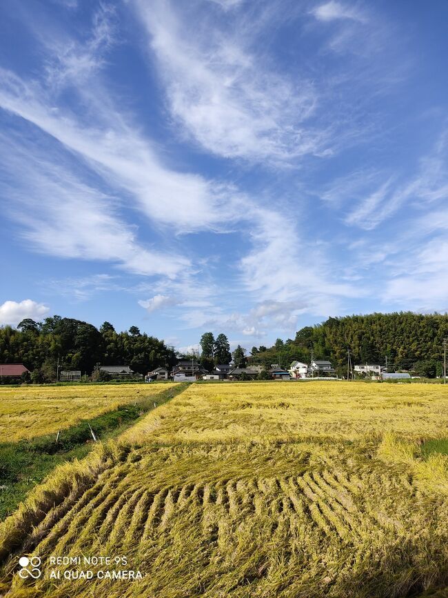 コロナでお盆に行けなかったお墓参り。<br />久しぶりに、湯本温泉や周辺の常磐地区をぐるぐると町歩き。<br />９月２９日、３０日