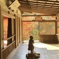 京の週末　ちょっと遅かった「三尾」紅葉めぐり（上）高山寺・西明寺編