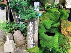 山鹿～菊池～阿蘇　蓮子・地産地消グルメ・阿蘇山なみハイウェイ・阿蘇神社の神水巡り旅　その3