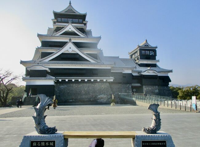 1日目に熊本空港から水前寺公園、熊本城、2日目に熊本から天草往復、3日目に熊本から阿蘇、4日目に阿蘇から由布院、5日目に由布院から別府を全てバスで移動し、6日目に別府から大分空港経由で戻る。1日目は、空港シャトルバスと市電を利用。2日目は、快速あまくさ号と天草ぐるっと周遊バスを利用。